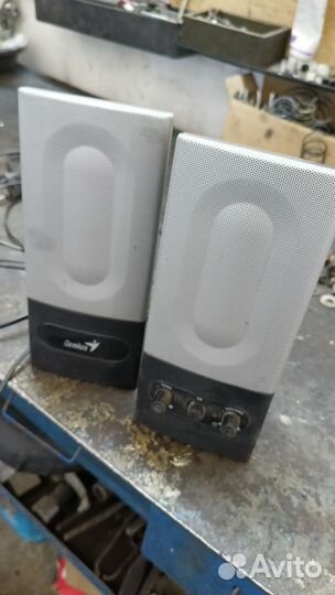 Колонки genius