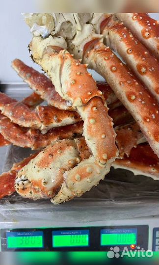 Конечности камчатского краба