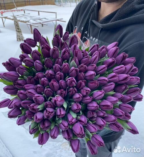 Тюльпаны оптом