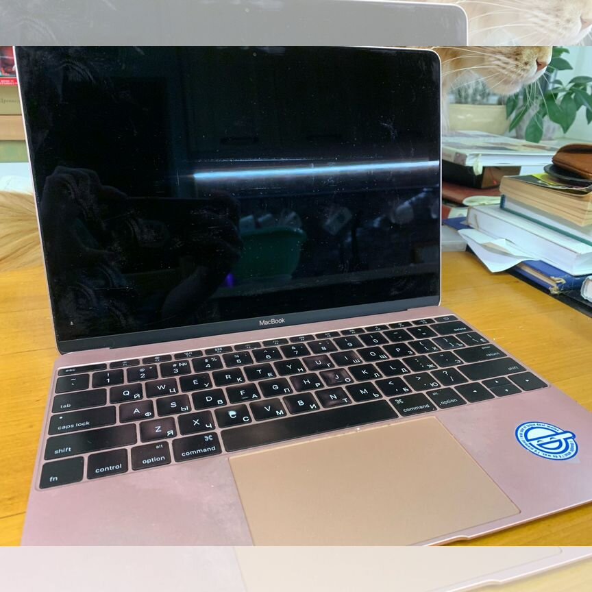 macbook 12 2016 - Купить ноутбук 💻 по выгодной цене на Авито во