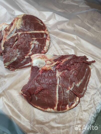 Продам мясо конина