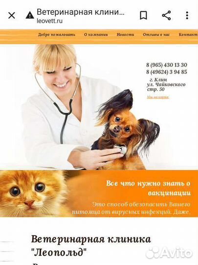 Ассистент ветеринарного врача