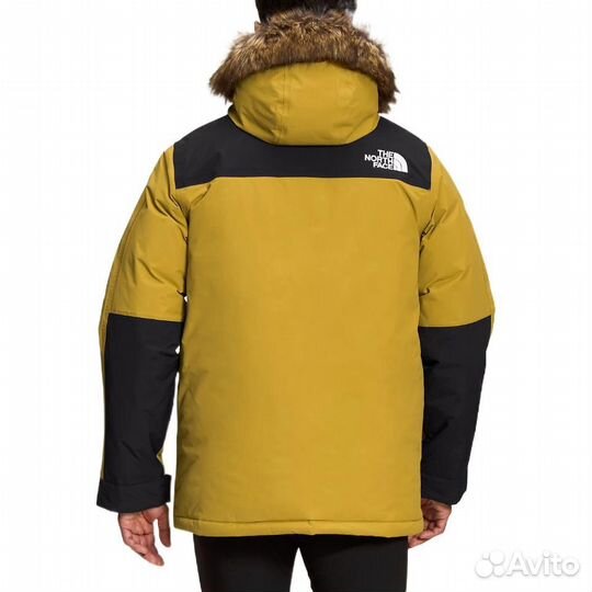 THE north face Jacket Men Yellow (56 (XXL)