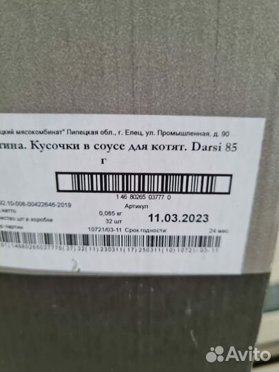 Корм для котят кошек