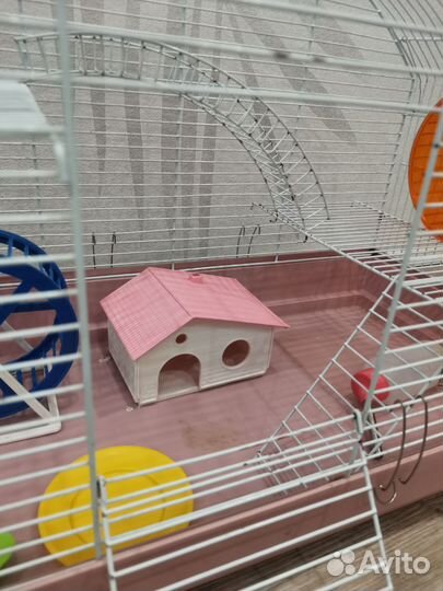 Клетка для грызунов