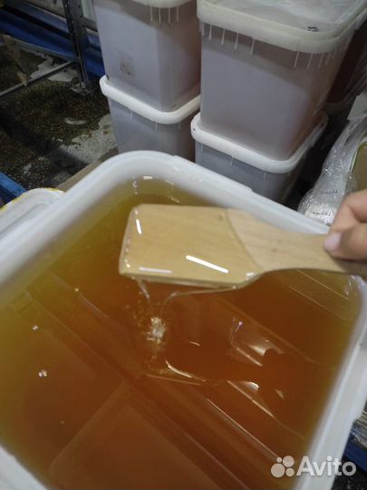 Акациевый мёд свежий Качка 2023 опт