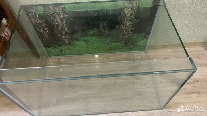 Аквариум