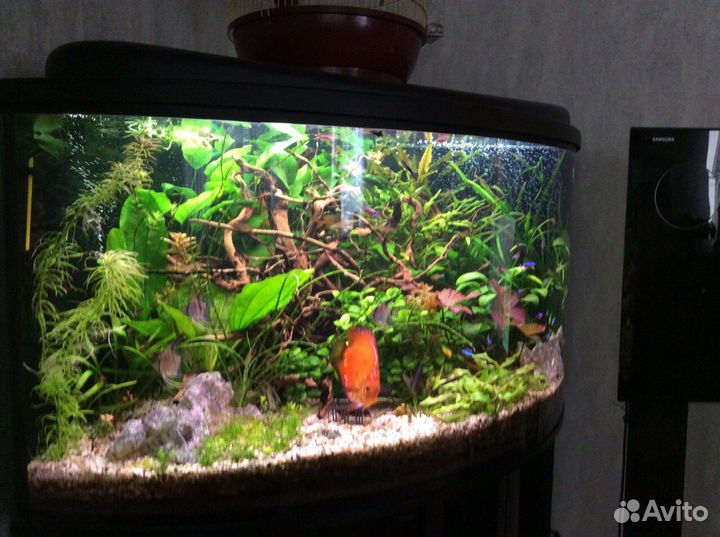 Продам аквариум 350 литров