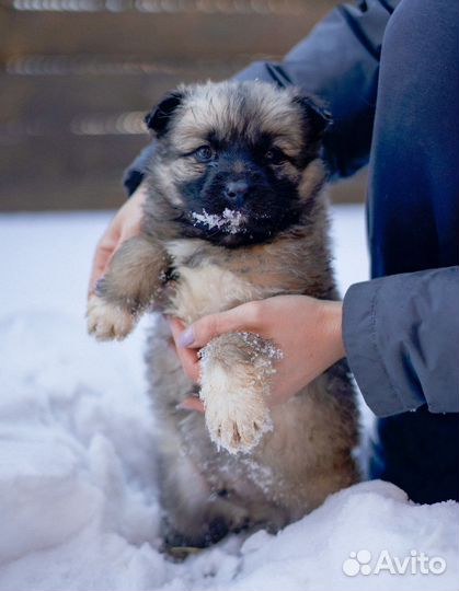 Малыши из приюта ищут дом