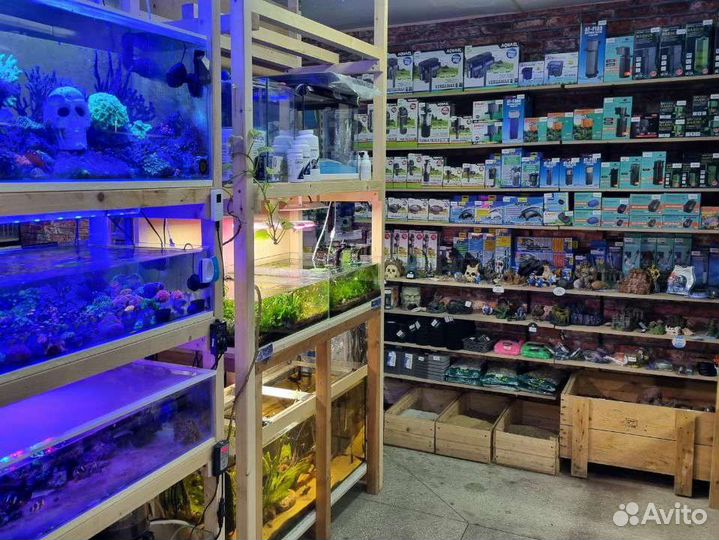 Аквариумные рыбки более 100 видов