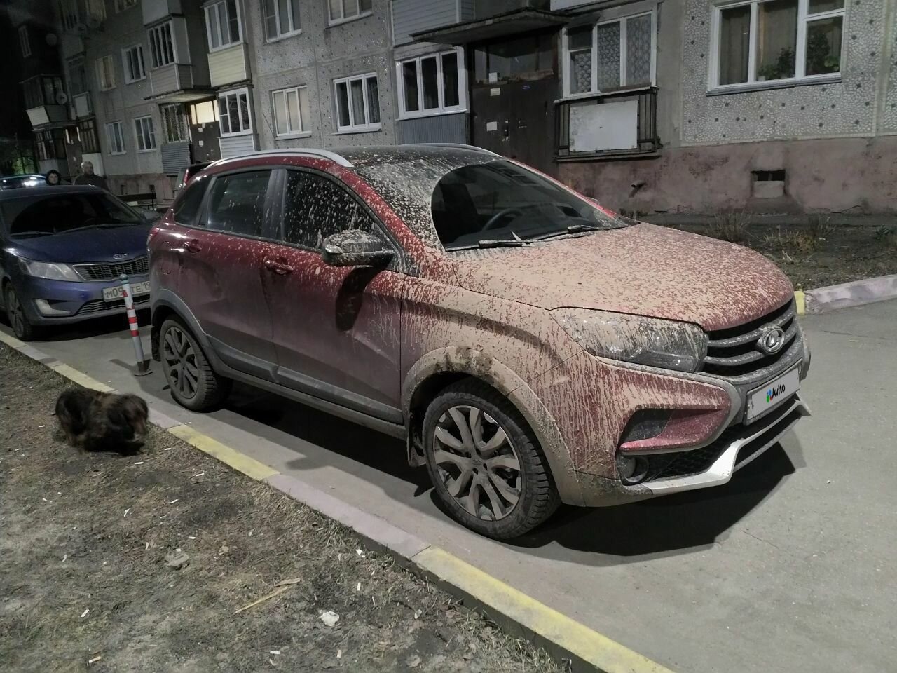 ВАЗ (LADA) XRAY Cross: фото владельца