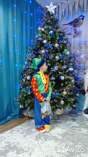 Костюм петрушки