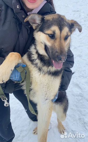 Красотка Джейна бесплатно