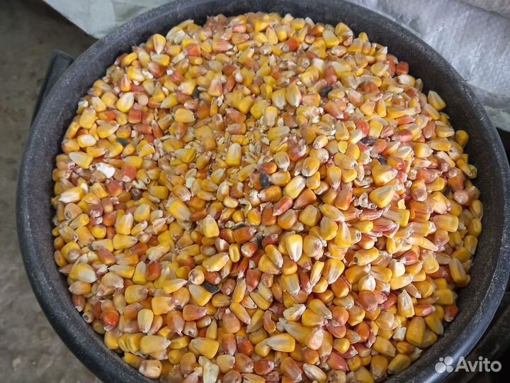 Корма для животных