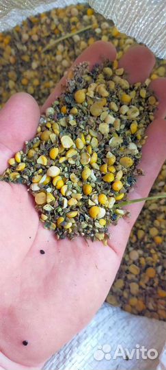 Горох отходы