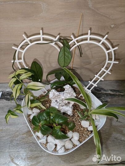 Цветочная композиция