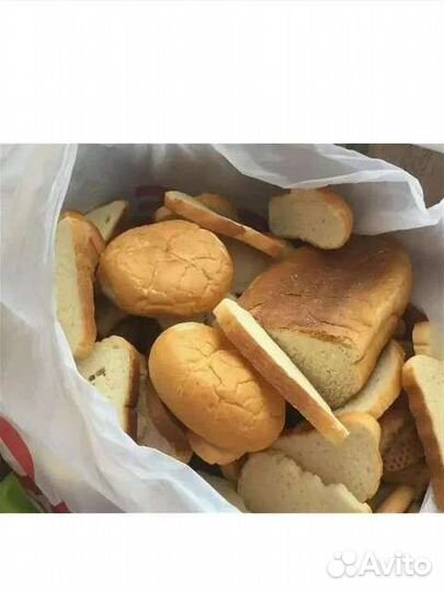 Хлеб на корм животным