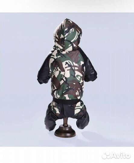 Одежда для собак