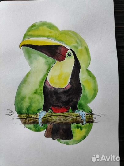 Акварельные скетчи. Туканы