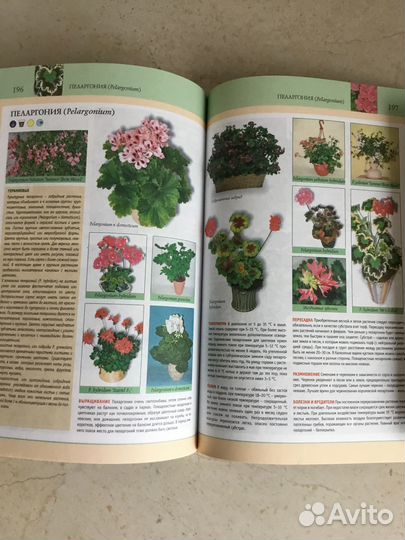 Монастырская кухня, Подворье, Цветы, Огород, Грибы