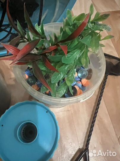Аквариум на 20 литров