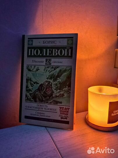 Книга Борис Полевой 