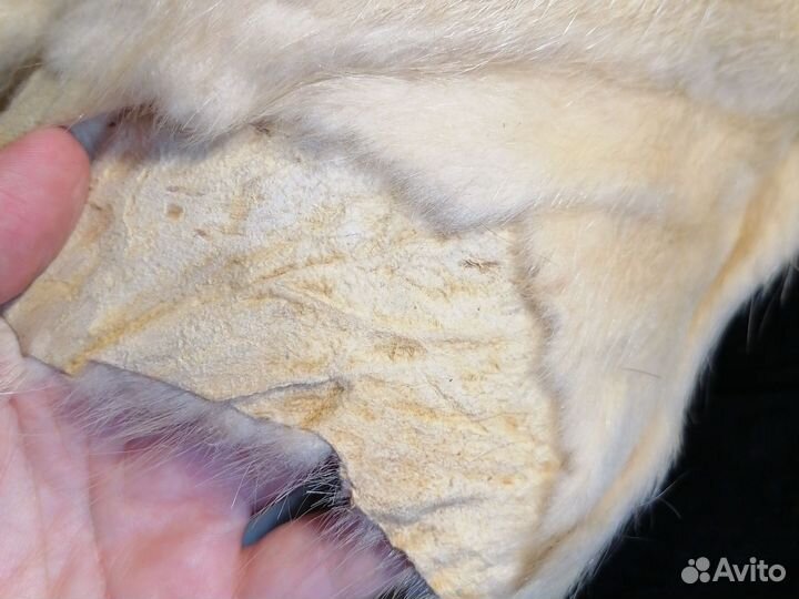 Шкурки нутрий на поделки
