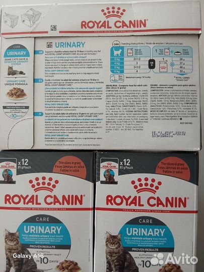 Royal canin влажный корм urinary