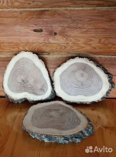 Спил дерева