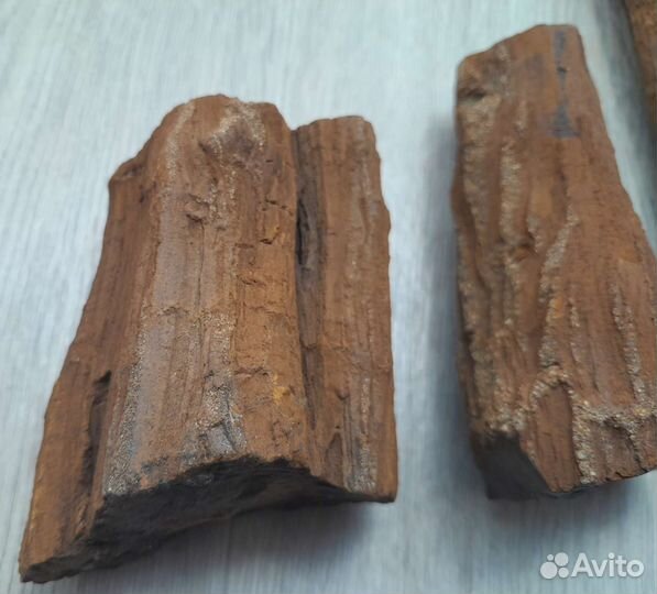 Окаменелое дерево