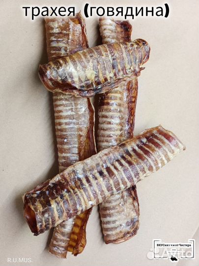 Лакомства для собак