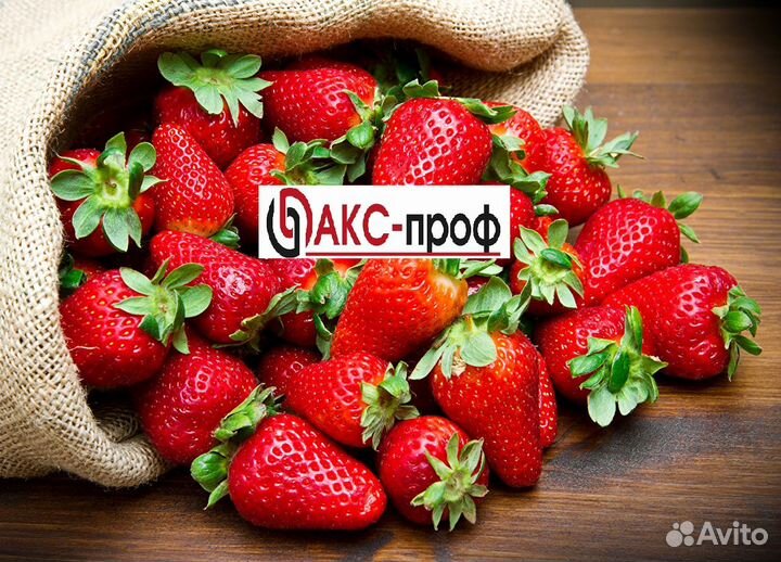 Упаковщик (ца) клубники. Вахта в Москве 20/30/45