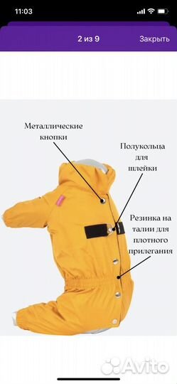 Комбинезон для маленькой собаки девочки