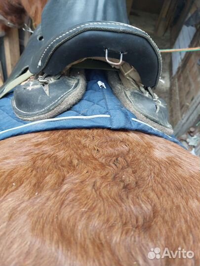 Седло скаковое