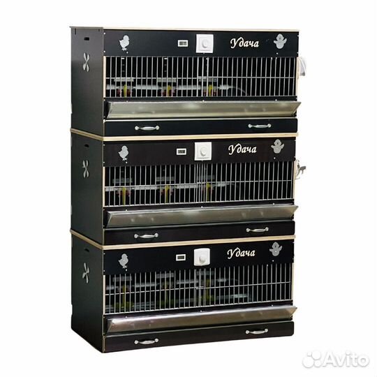 Брудер для цыплят