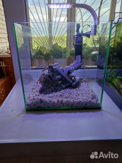 Аквариум Сube