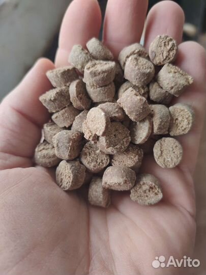 Корм для собак