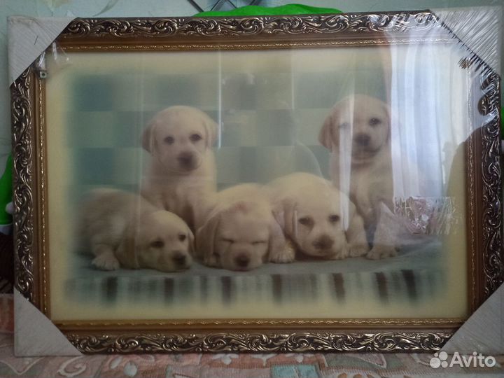 3D картина с щенками лабрадора