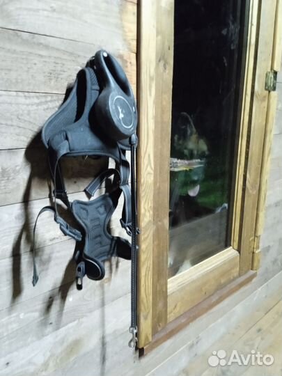 Зоогостиница для собак