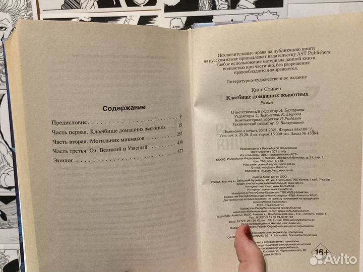 Книга кладбище домашних животных