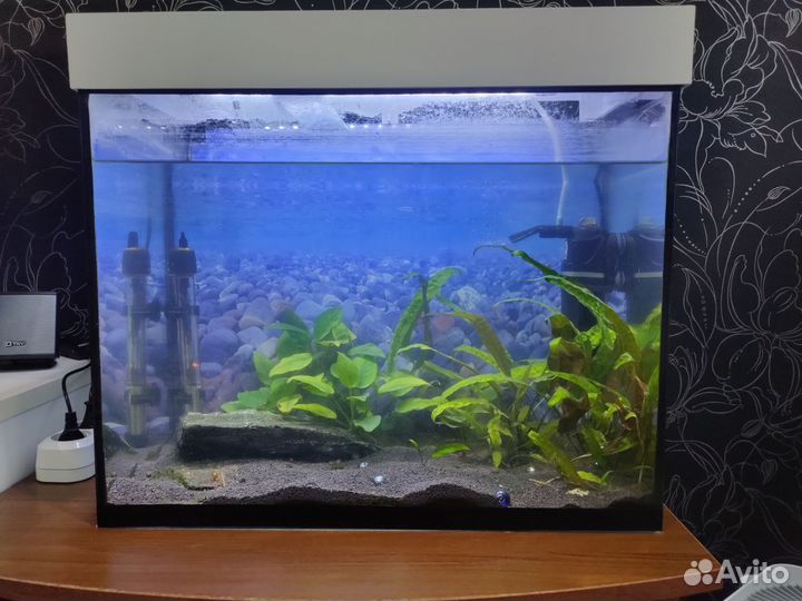Аквариум с рыбками бу