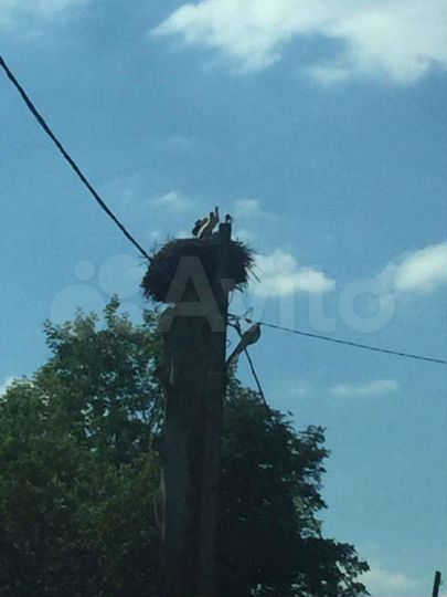 Участок 33 сот. (ИЖС)