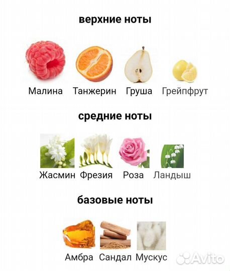 Stamina For Women Avon