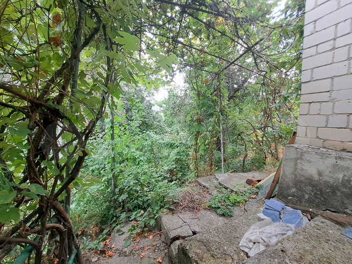 Участок 4,3 сот. (СНТ, ДНП)