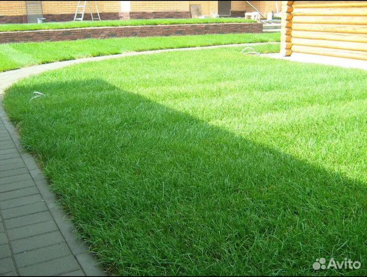 Рулонный газон от производителя спортивный