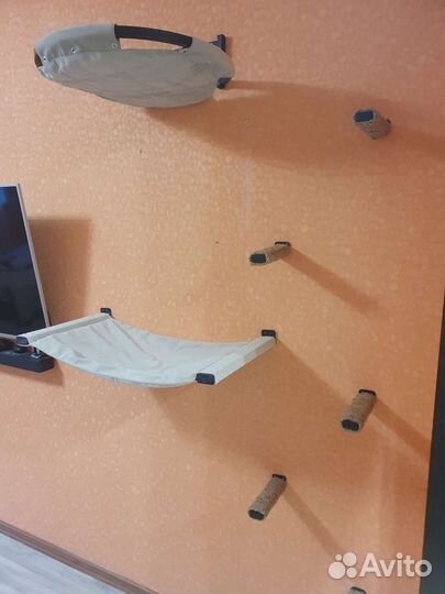 Настенный комплекс для кошек, когтеточка, лежак