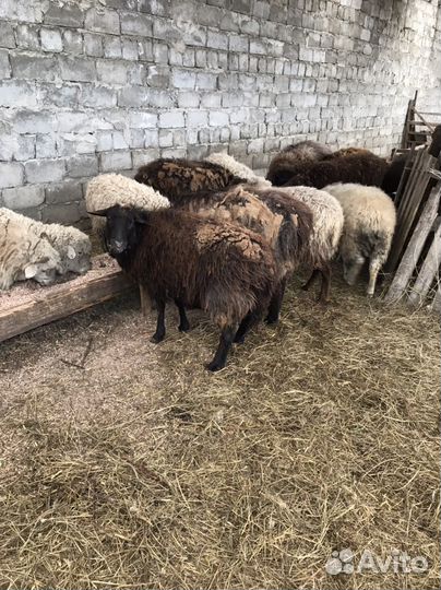 Продажа обмен на авто,мебель,ворота крс мрс