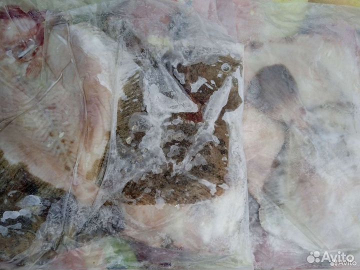 Рыба и морепродукты