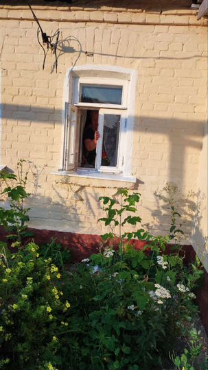 Дом 38 м² на участке 70 сот.