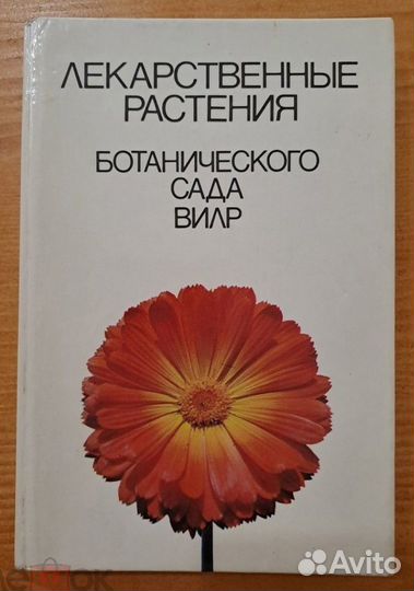 Лекарственные Растения Ботанического Сада вилр 198